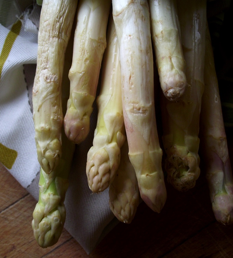 Zasypaná polínka, aneb chřest jako příloha